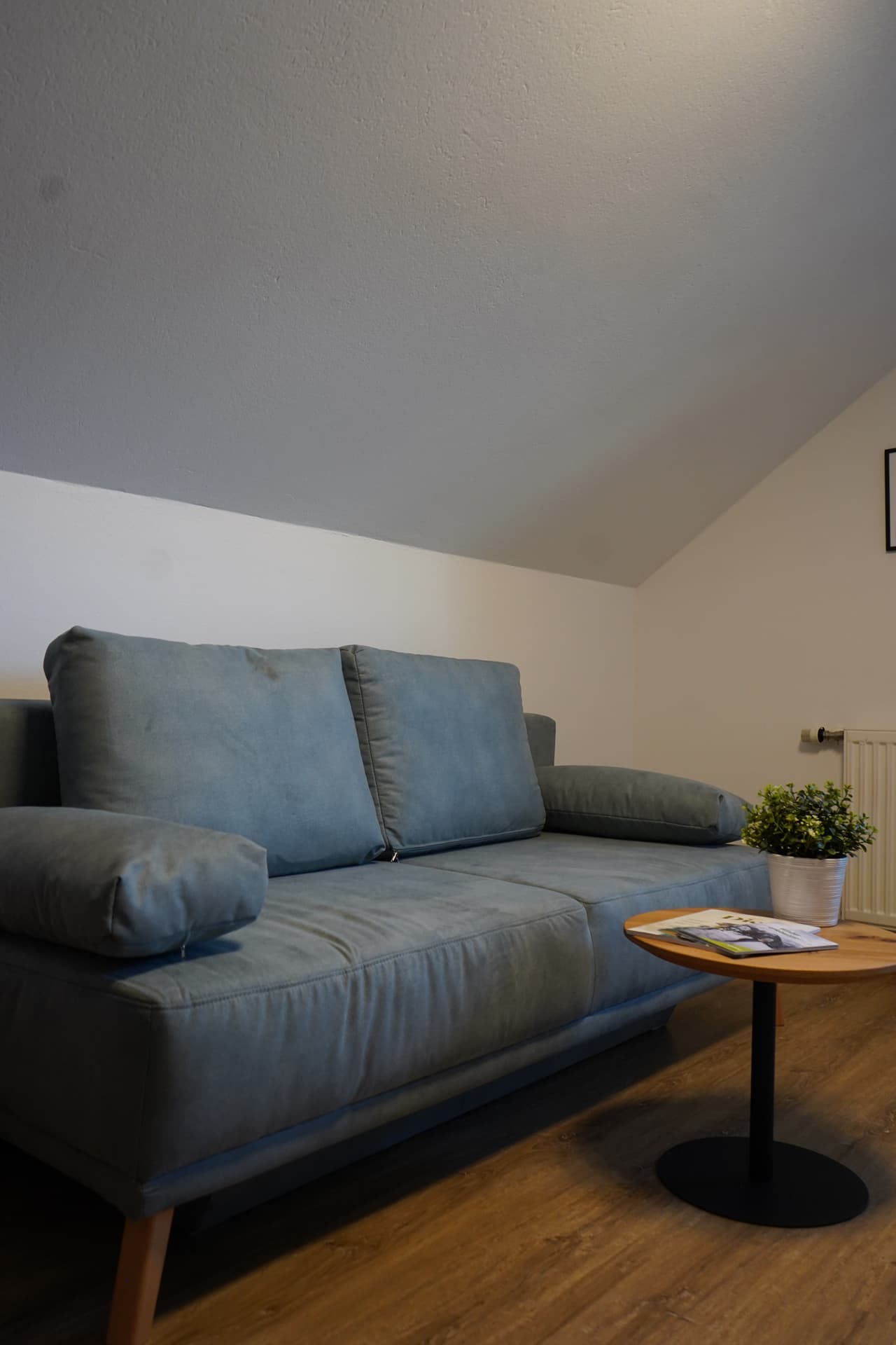 Gemütliches Sofa im Wohnbereich des Apartments