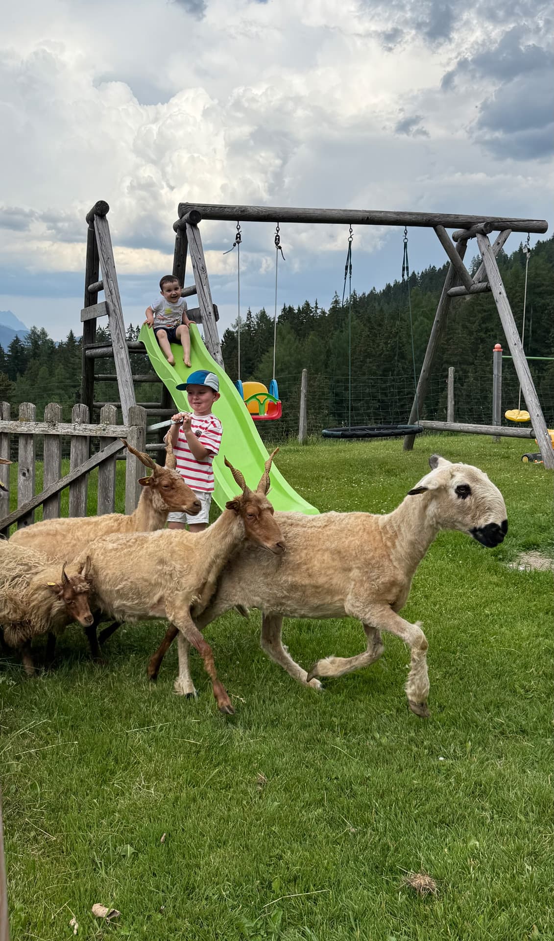 Kind beim Reiten auf einem Pony im Familienurlaub