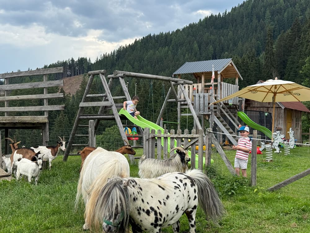 Kinder beim Spielen auf einem Spielplatz in der Region Schladming